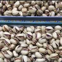 پسته کله قوچی خام ویژه250 گرم(خیلی درشت و دستچین)