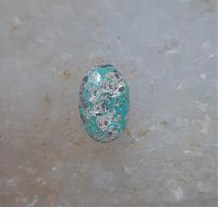 نگین فیروزه نیشابور کد 443