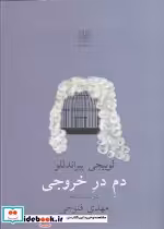 قیمت و خرید کتاب دم در خروجی اثر لوییجی پیراندللو | ایده بوک