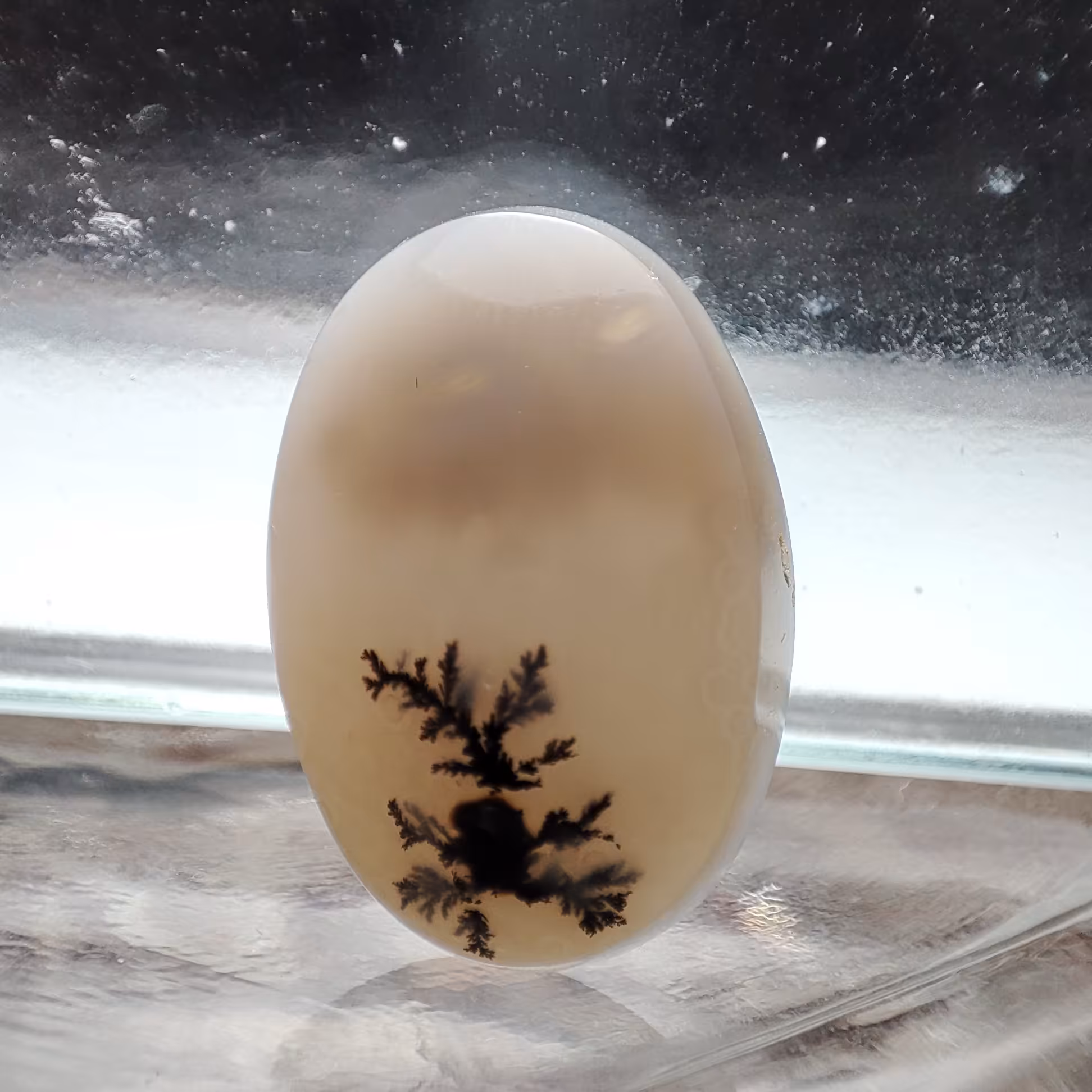 شجر قائن طبیعی و معدنی کد 309