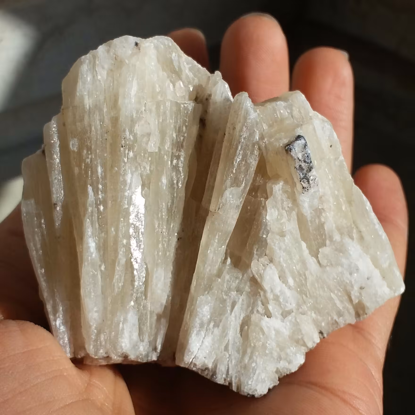 سنگ راف کلکسیونی کلسیت زرد نباتی درشت 100 در 100 طبیعی شاااهکار خلقت
کد 10368