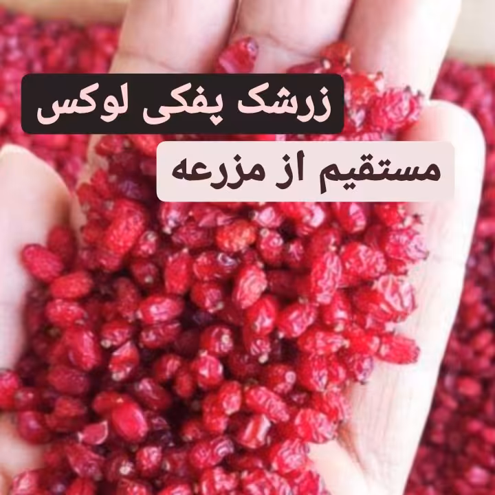 زرشک پفکی بیرجند مستقیم از کشاورز