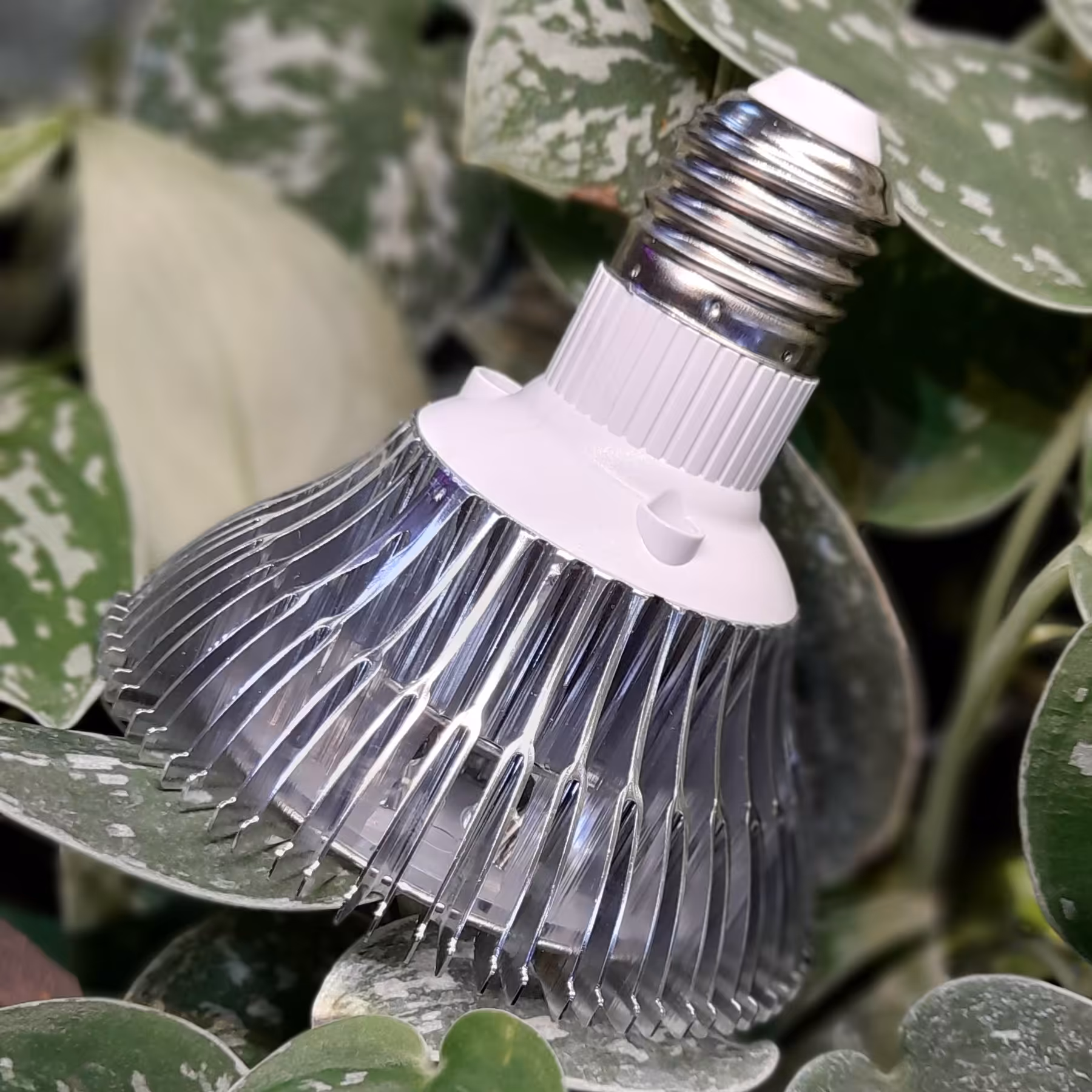 لامپ رشد گیاه 7 وات سرپیچی (نچرال)