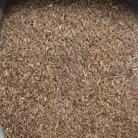 زیره سیاه - 1 کیلو