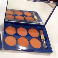 رژ گونه 6 رنگ تونایت 