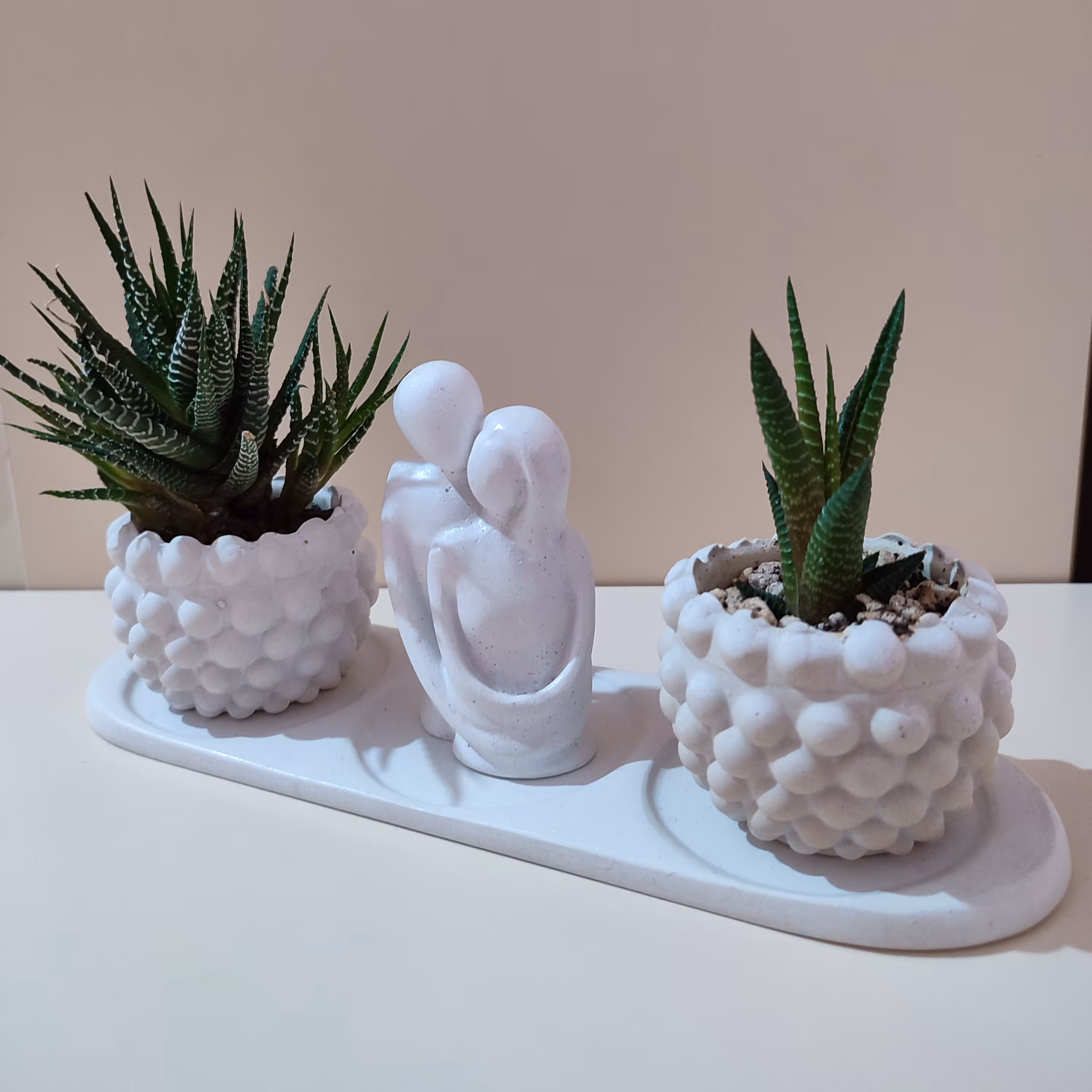 گلدان کاکتوس و اکسسوری