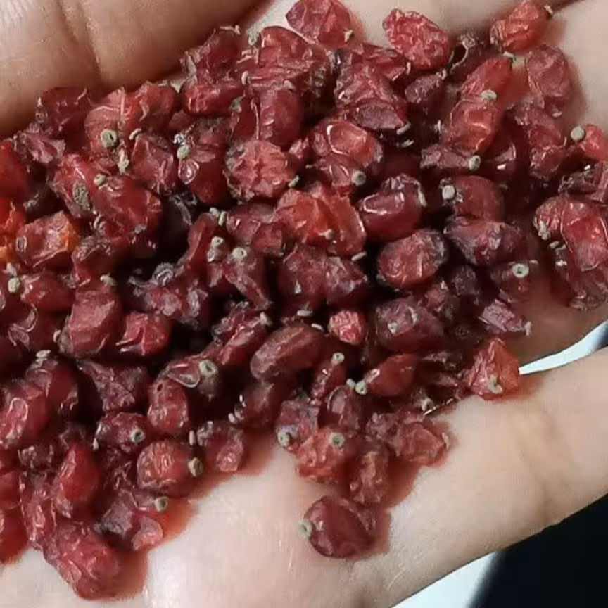 زرشک دونه اناری تازه   و بدون روغن( 1000 گرم)