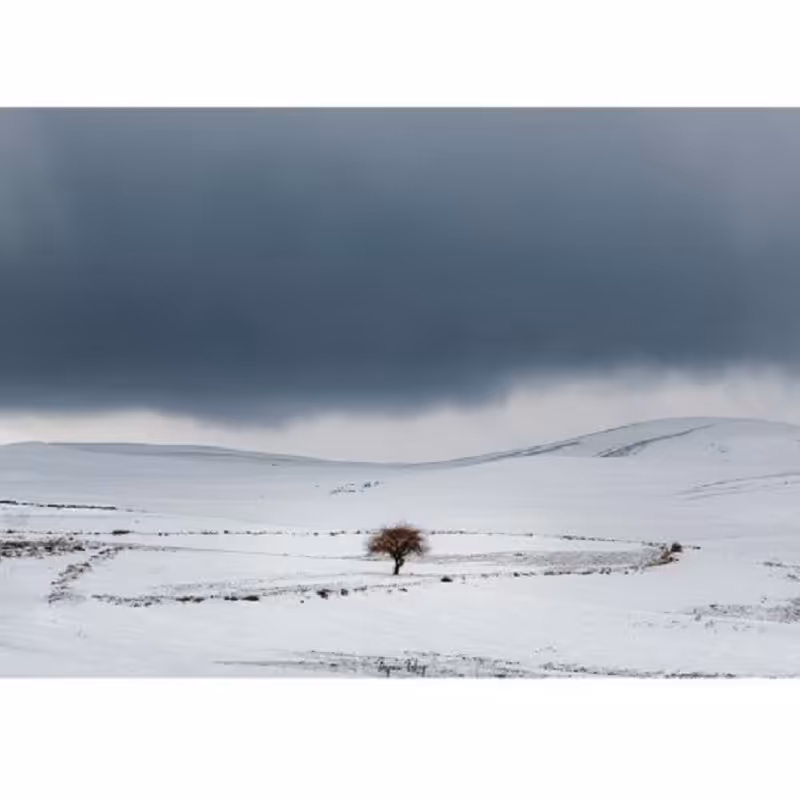 	 تابلو شاسی کد benpics-0001 (ابعاد 60x40 - شاسی 8 میل-کاغذ سیلک-اصالت تصویر)