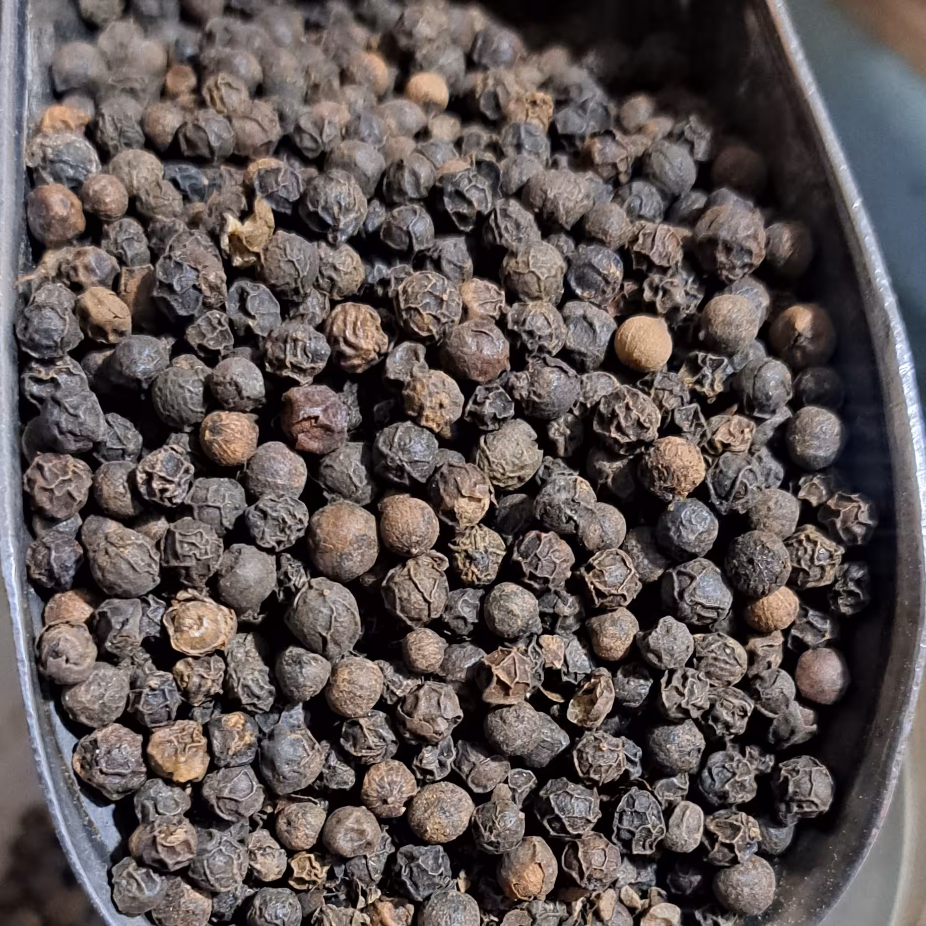 فلفل سیاه درشت 100 گرمی ،فلفل سیاه درشت 