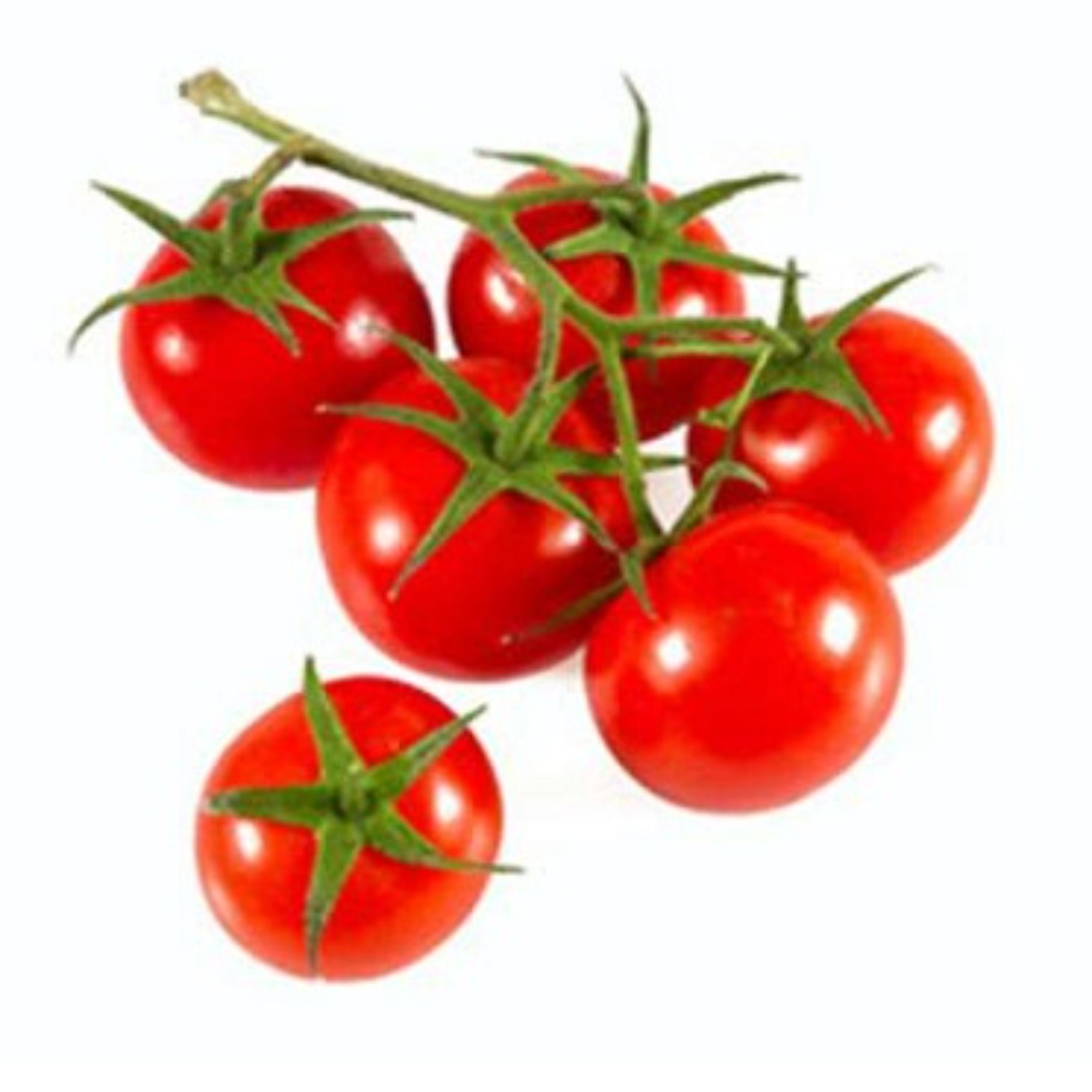 گوجه گیلاسی