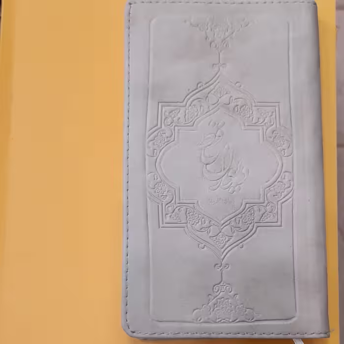 دیوان حافظ پالتویی
