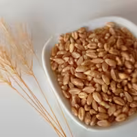 گندم کامل 250گرم آریا چاشنی