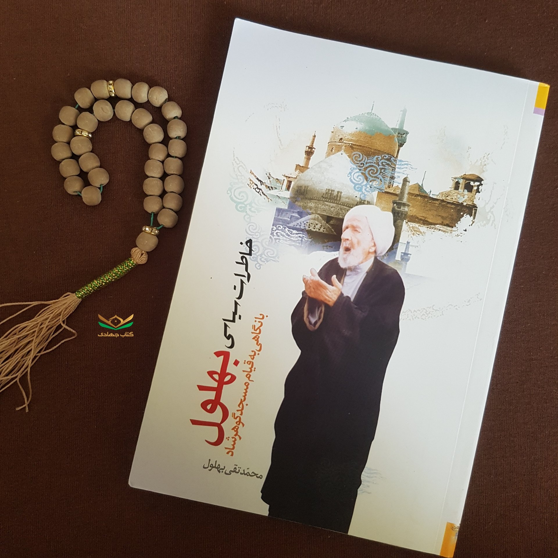 کتاب خاطرات سیاسی بهلول