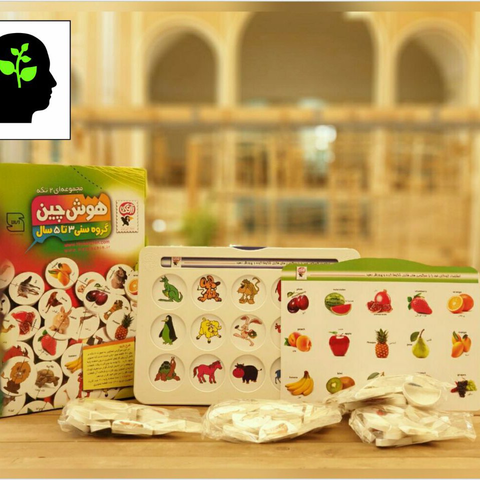 هوش چین دو تکه