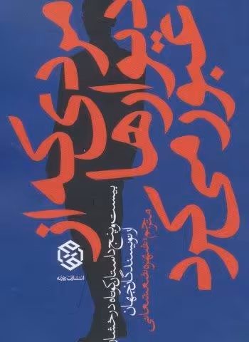 مردی که از دیوارها عبور می کرد (بیست و پنج داستان کوتاه درخشان از نویسندگان جهان)