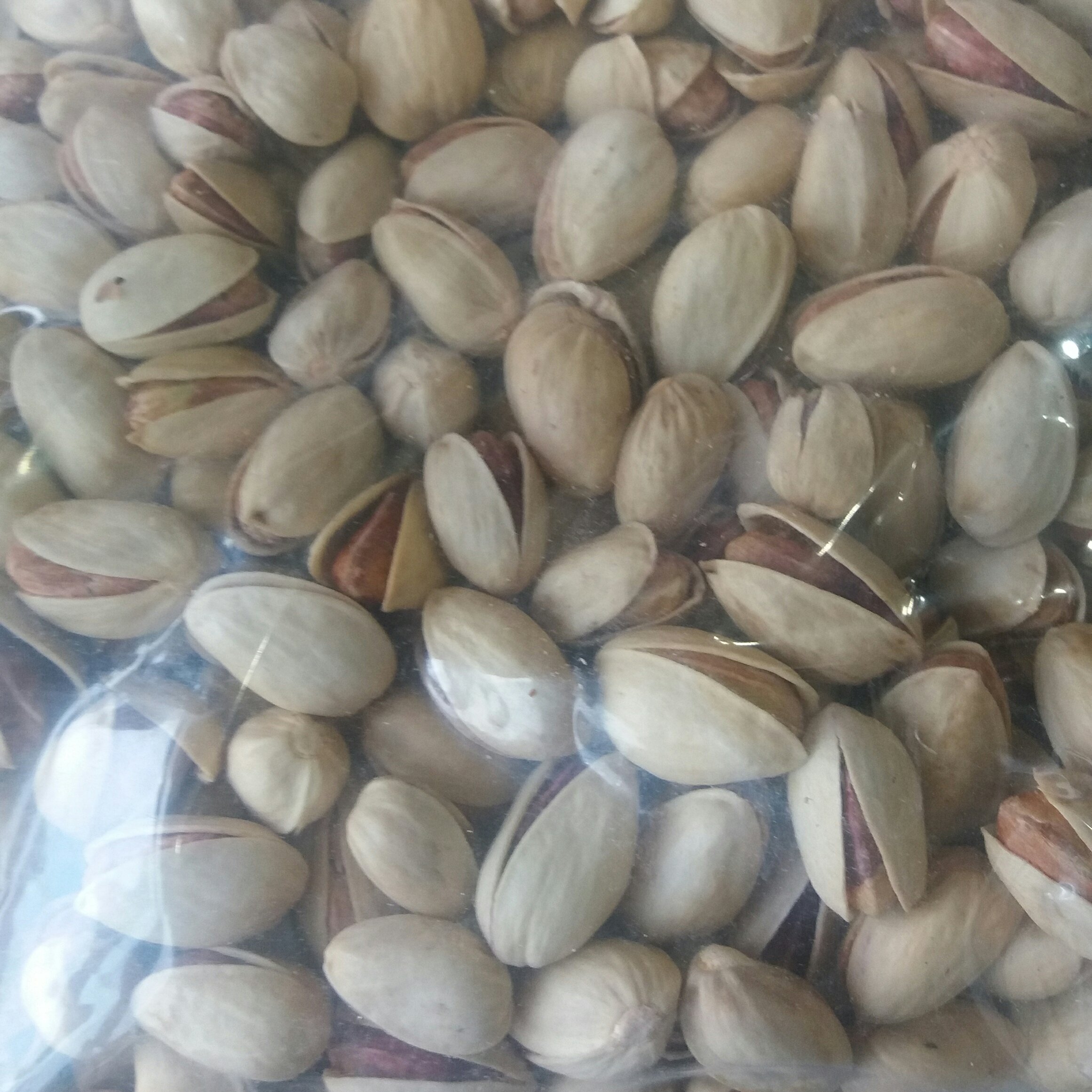 پسته اکبری