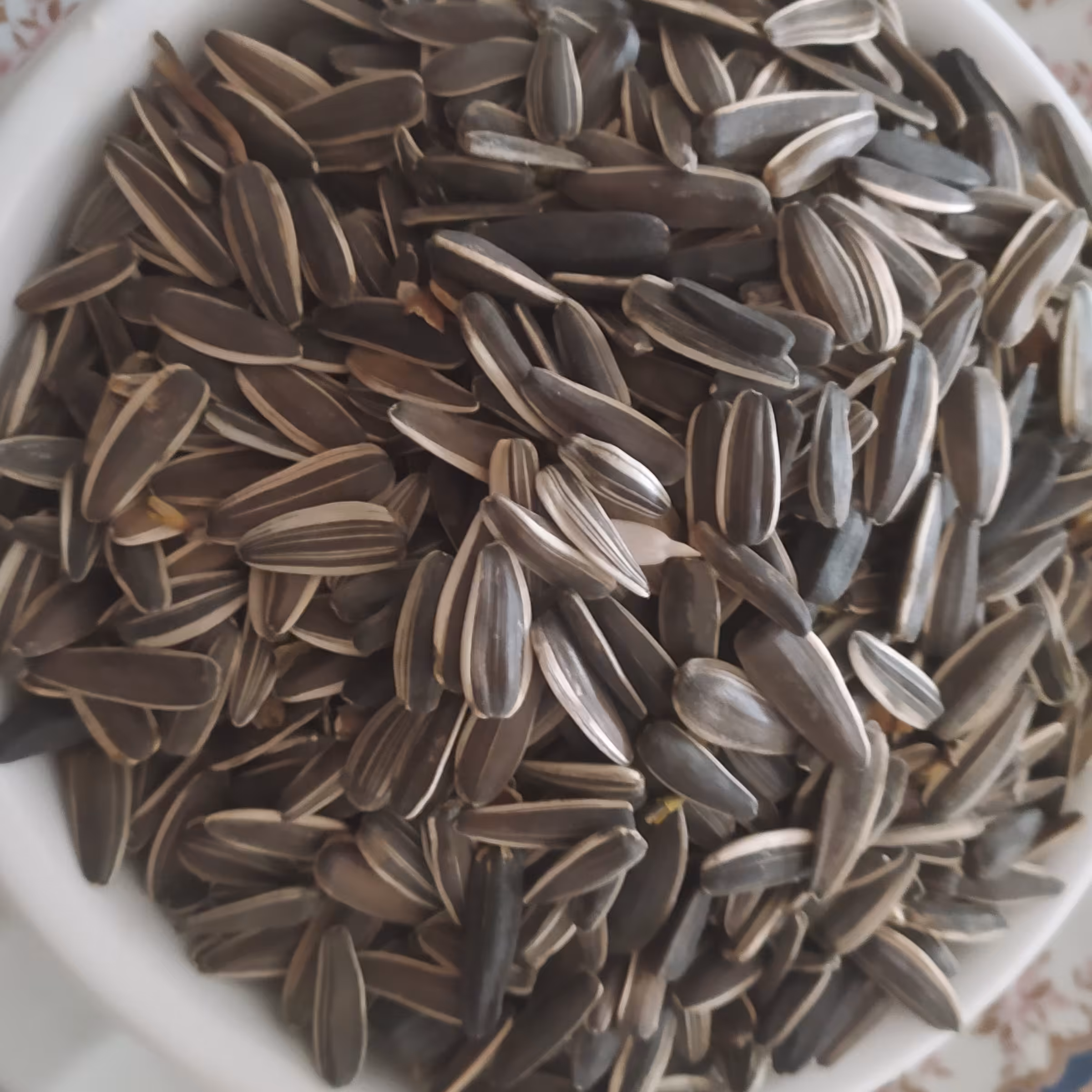 تخمه آفتابگردان خام  ارسال رایگان 