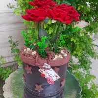 کیک دهاقان کیک خانگی حلما. طرح گلدان