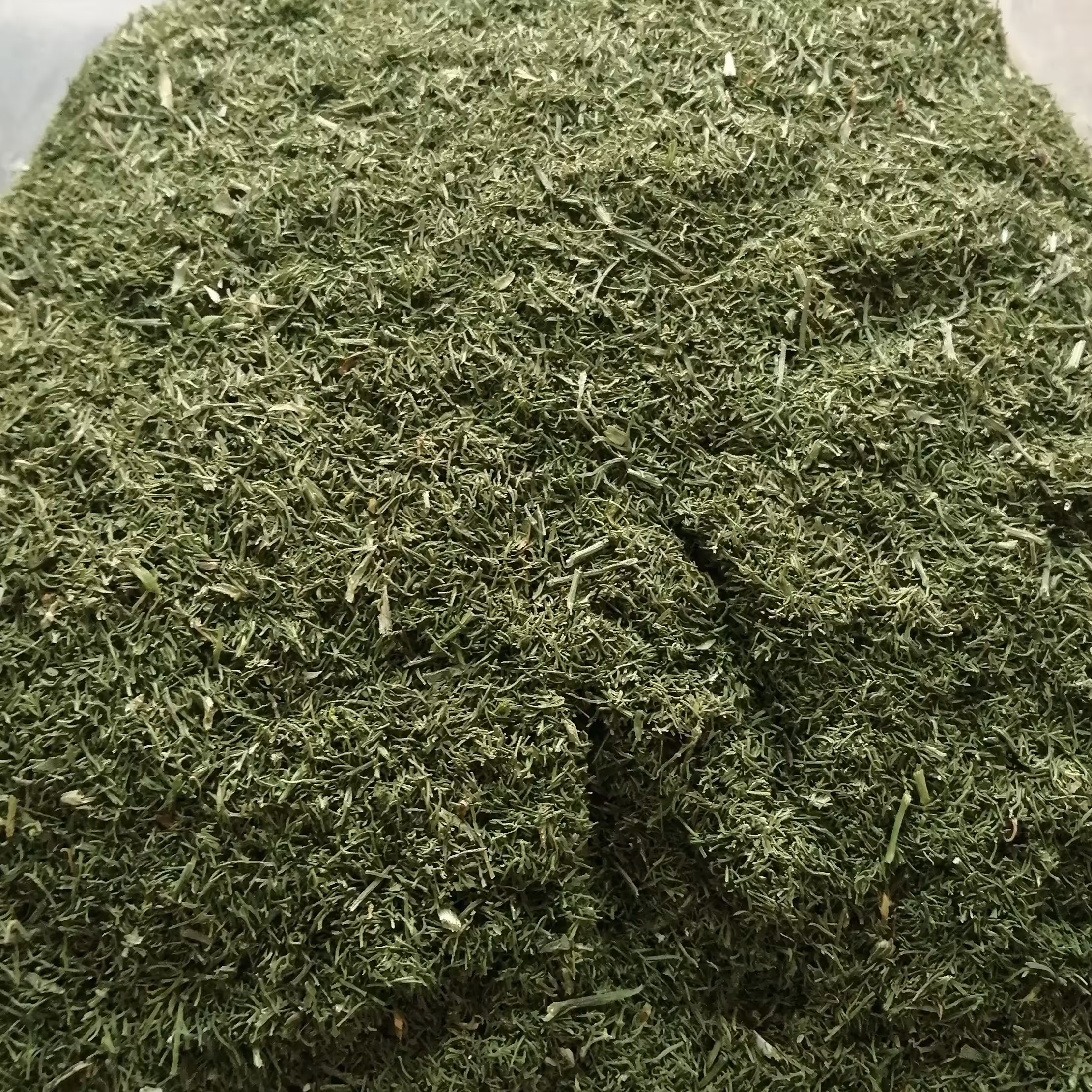 شوید خشک شده با دستگاه میوه خشک کن بهداشتی و ارگانیک