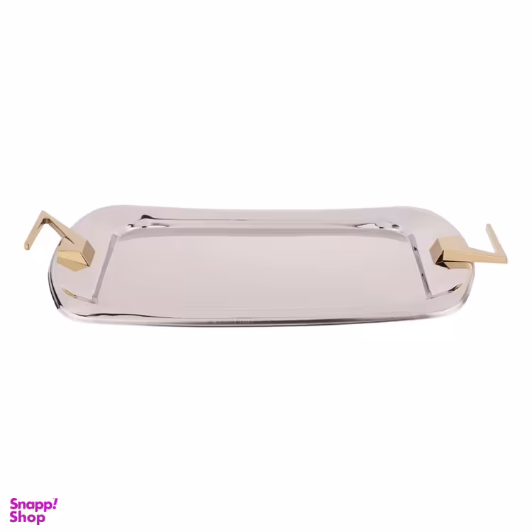 سینی ام جی اس کد 4110