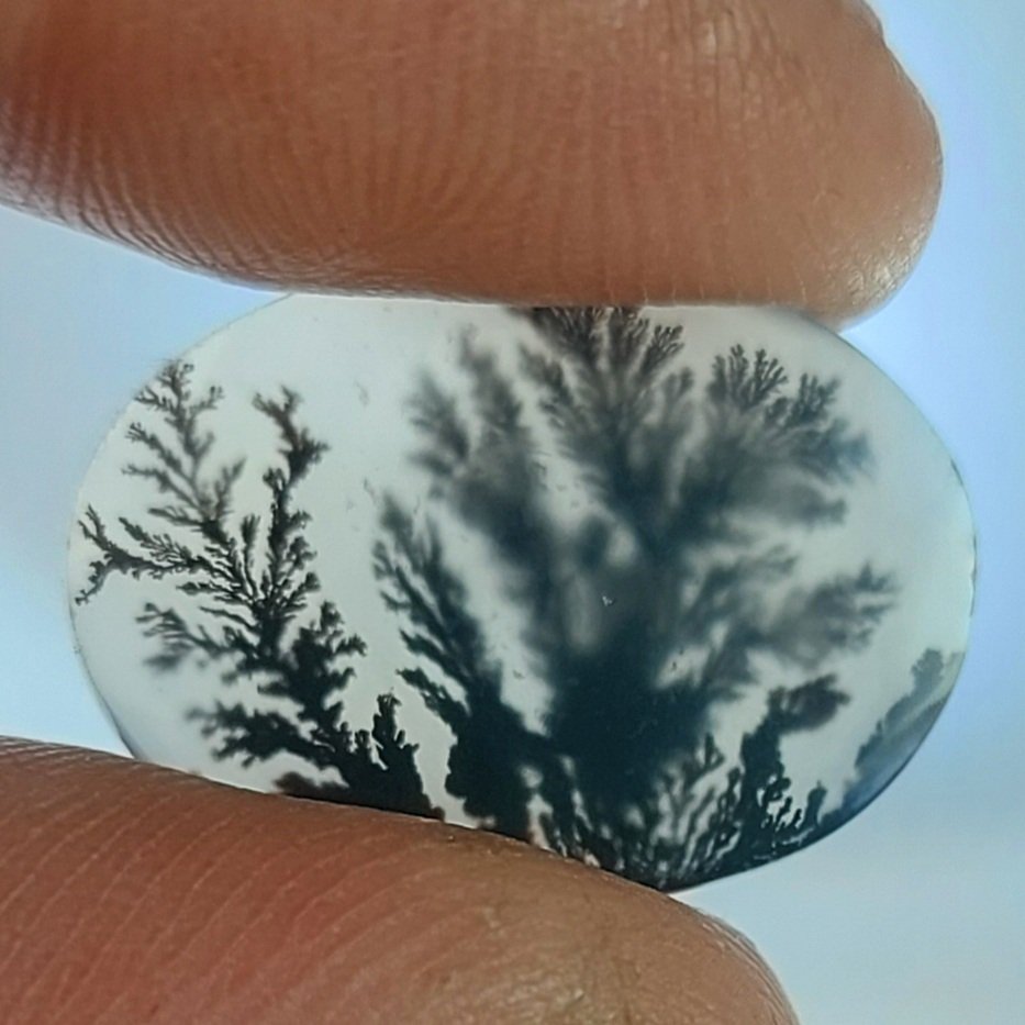 عقیق شجر قاین زیبا و منقش به منظره طبیعی