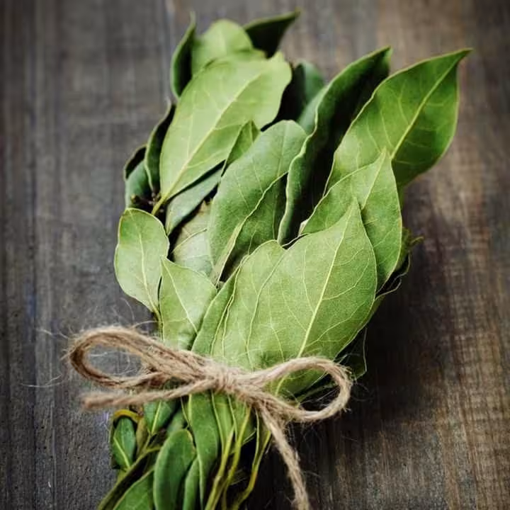 برگ بو اعلا 50گرمی