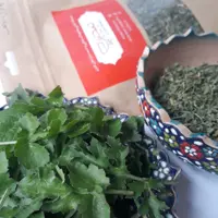   چوچاق-شوشاق-زولنگ سبزی معطر خشک شمال بسته 100 گرمی فیچین 