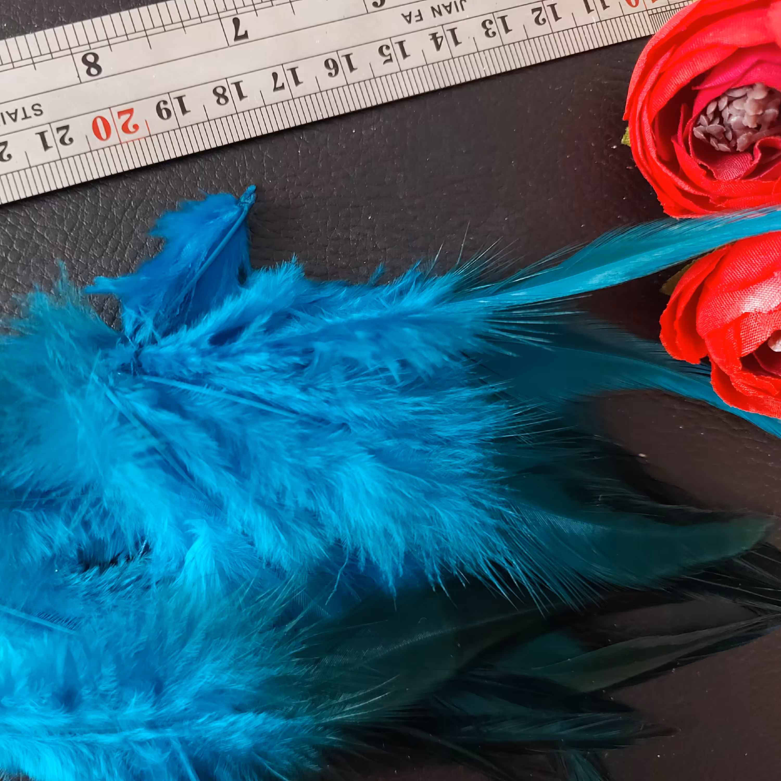 پر بلند و کشیده پر رنگ شده طبیعی آبی در بسته های ده عددی