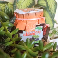 رب تمشک ترش بام500گرمی