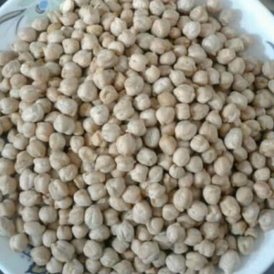 نخودخام زودپزارگانیک تمیزوپاک 