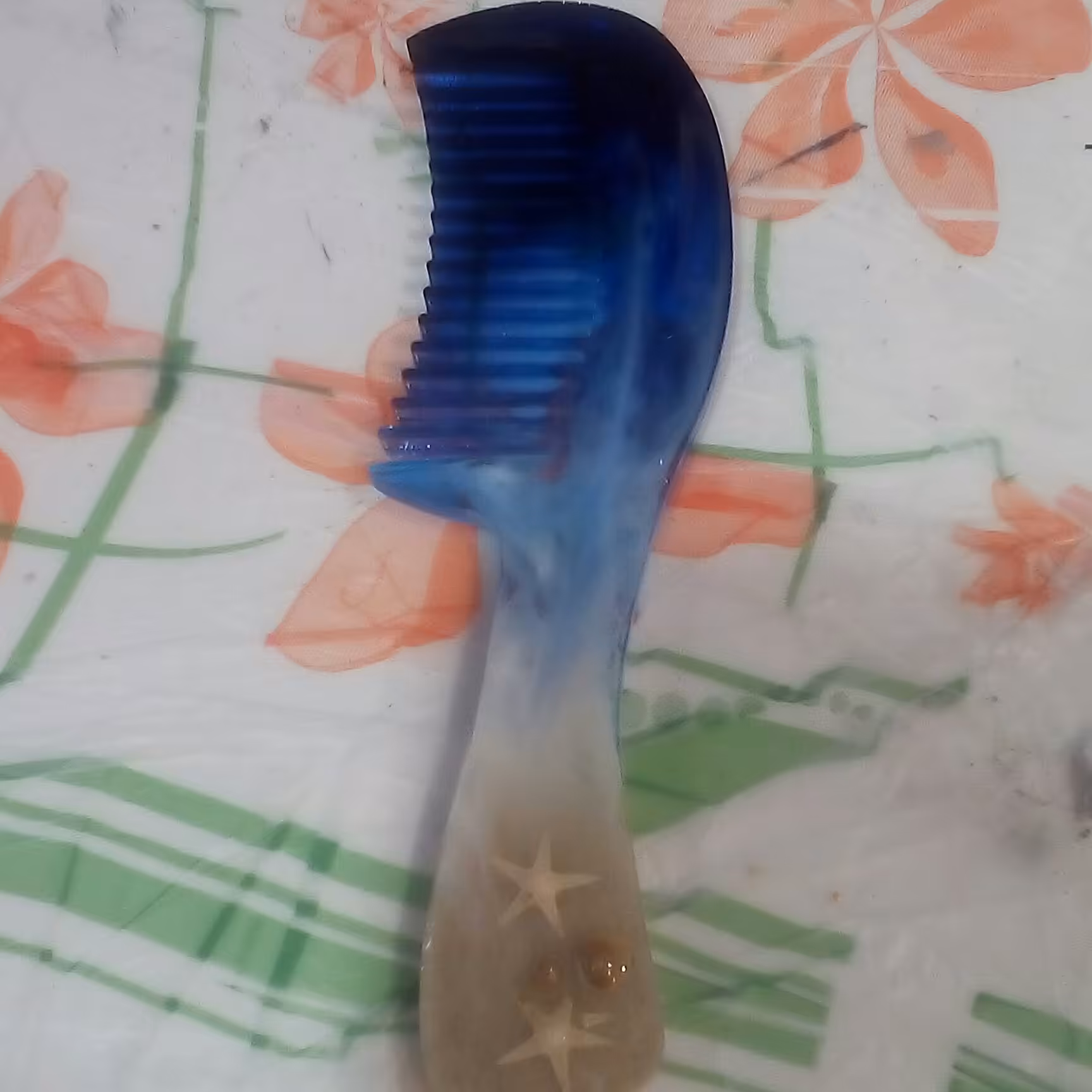 شانه دریایی