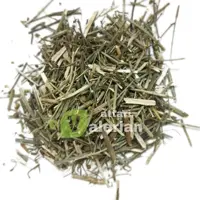 سیم اوتی-سیموتی-قشنگی-عفونت بانوان
