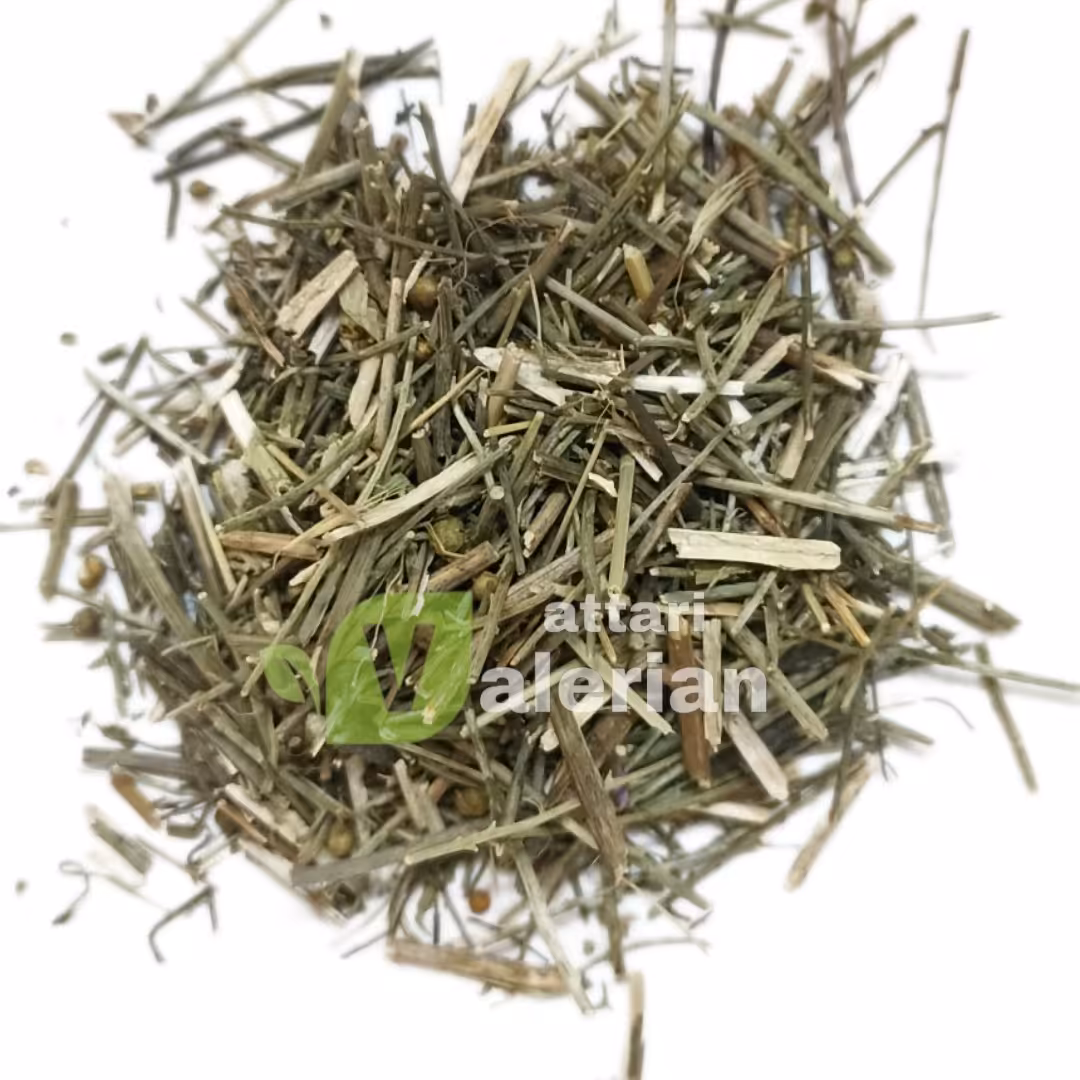 سیم اوتی-سیموتی-قشنگی-عفونت بانوان