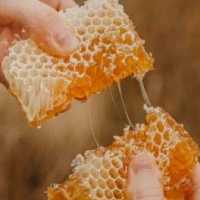 عسل طبیعی تبریز اصل تضمین خوشمزگی 