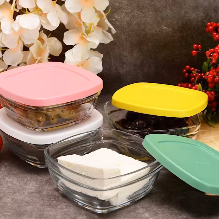 ظرف نگهدارنده پودینگ