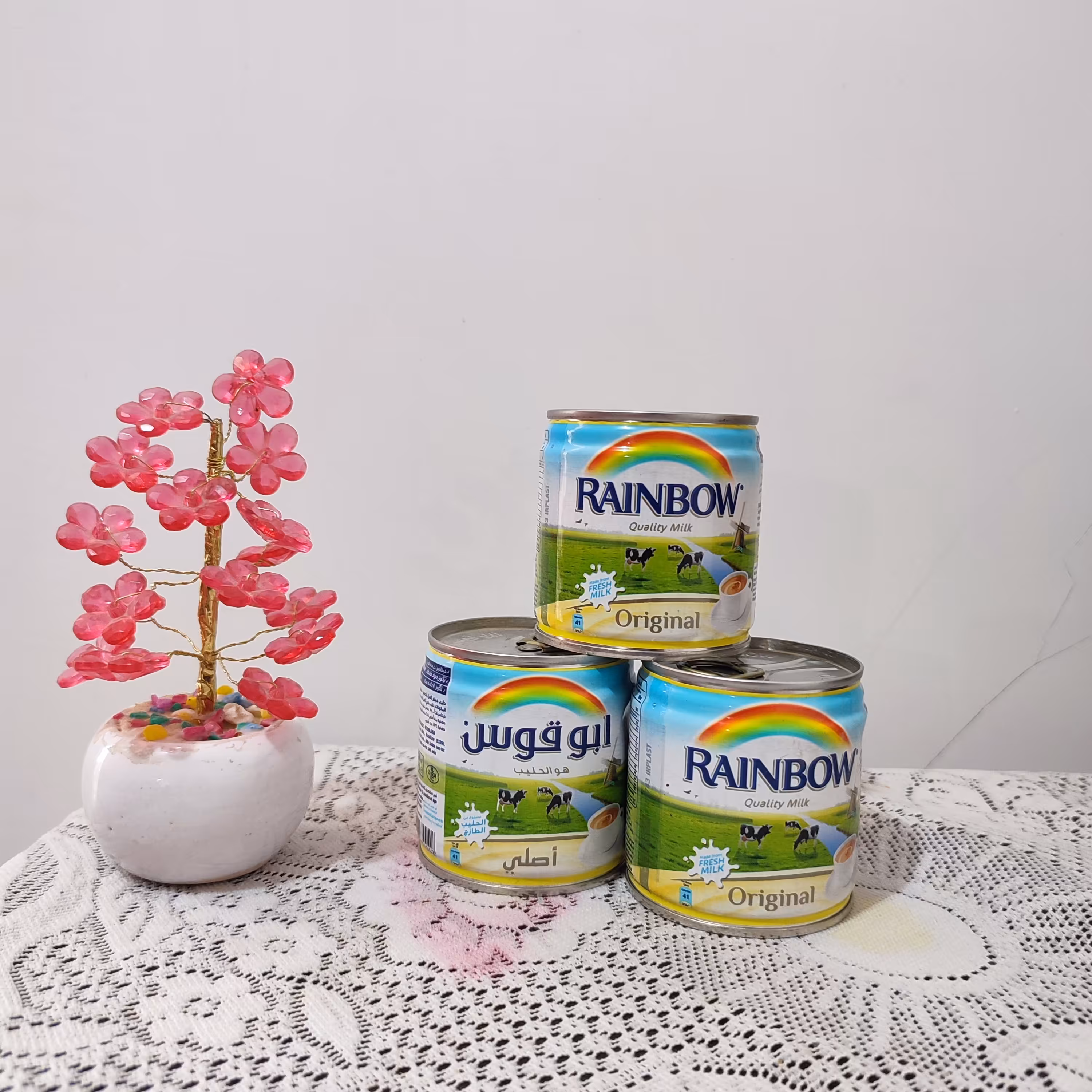 شیر گاو ابوقوس برای تهیه شیر چای و چای کرک