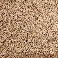 گندم حلیم (یک کیلو)