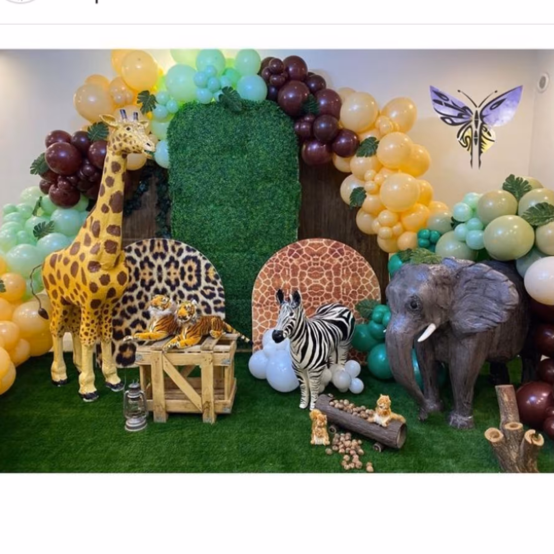 تم حیوانات سه بعدی جنگل