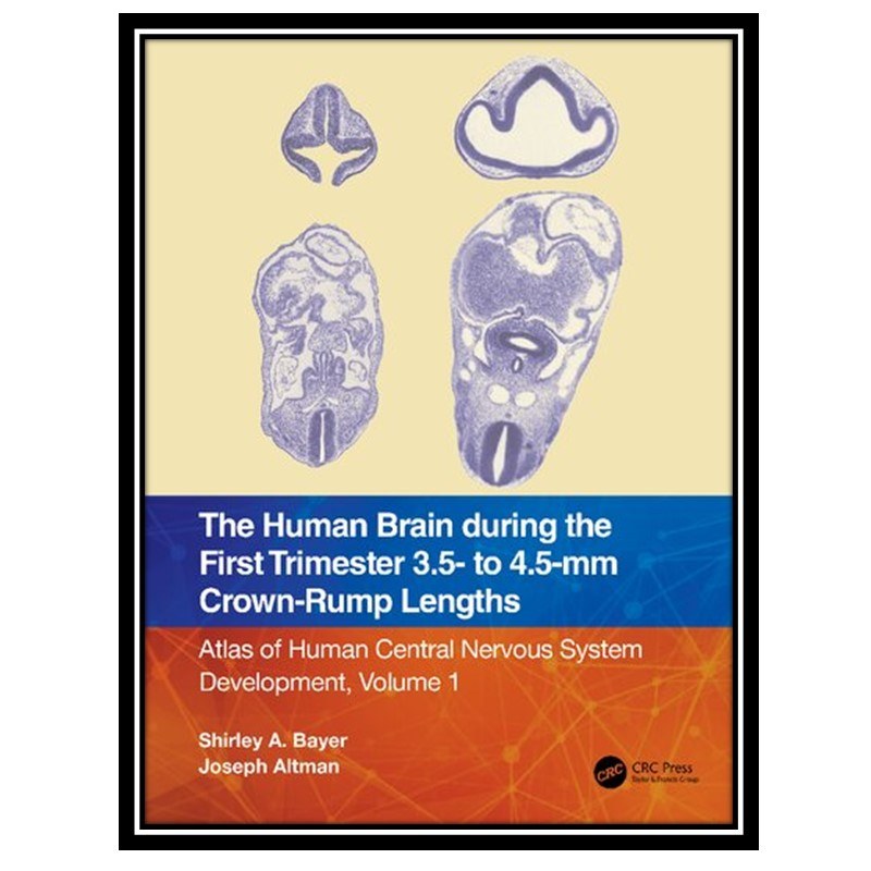 کتاب The Human Brain during the First Trimester 3.5- to 4.5-mm Crown-Rump Length
