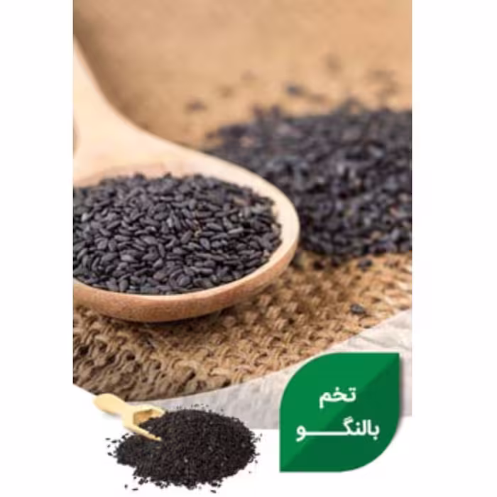 تخم بالنگو