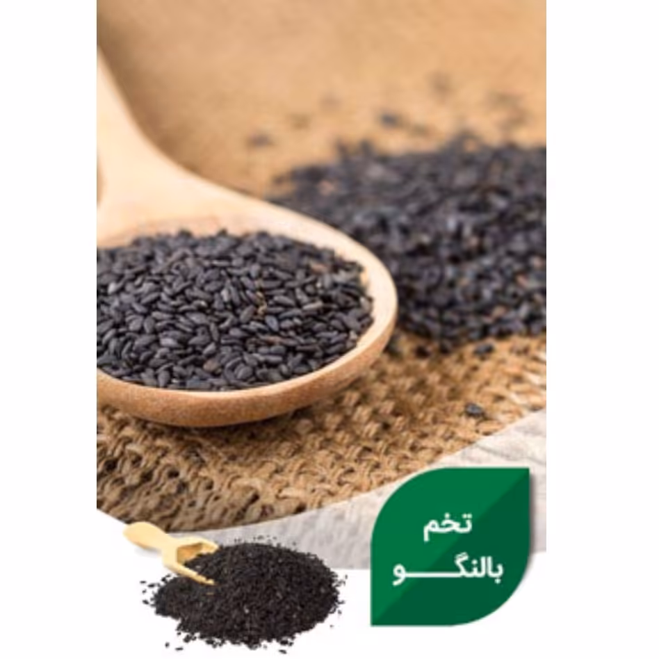 تخم بالنگو
