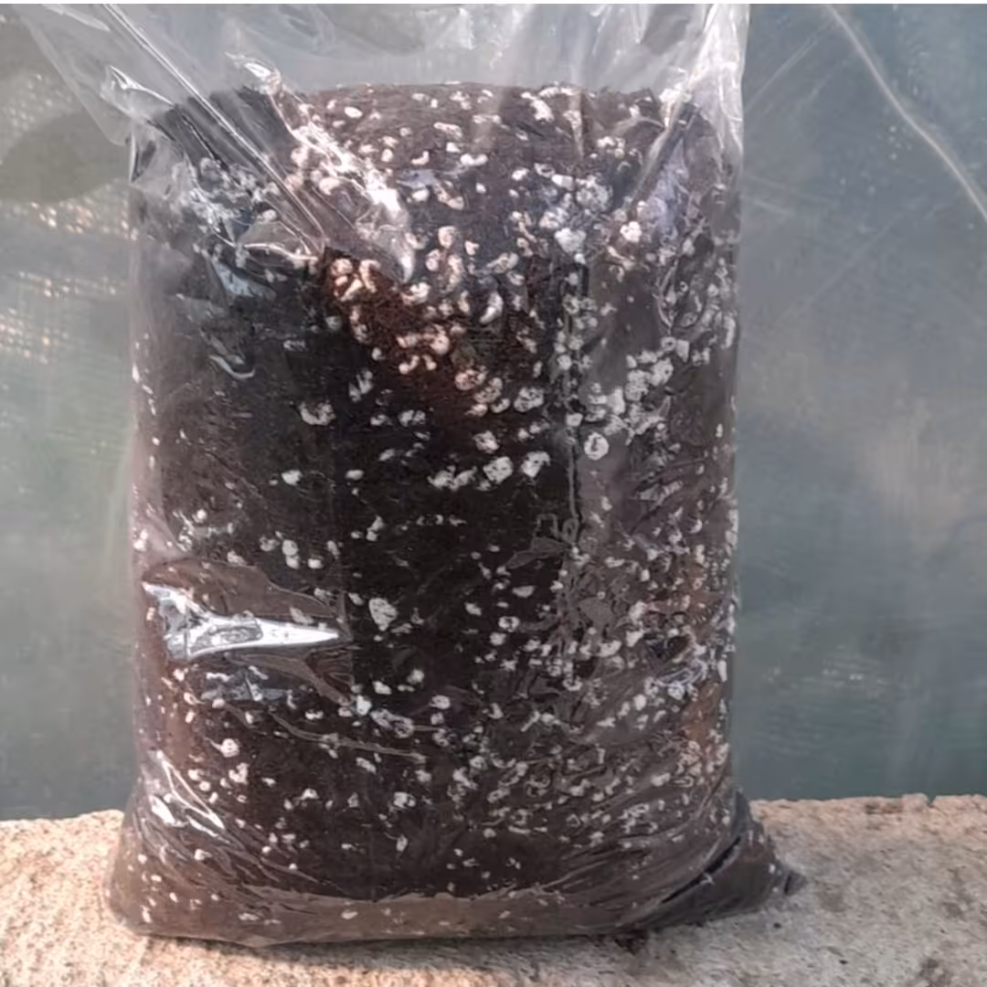 خاک مخصوص قلمه 