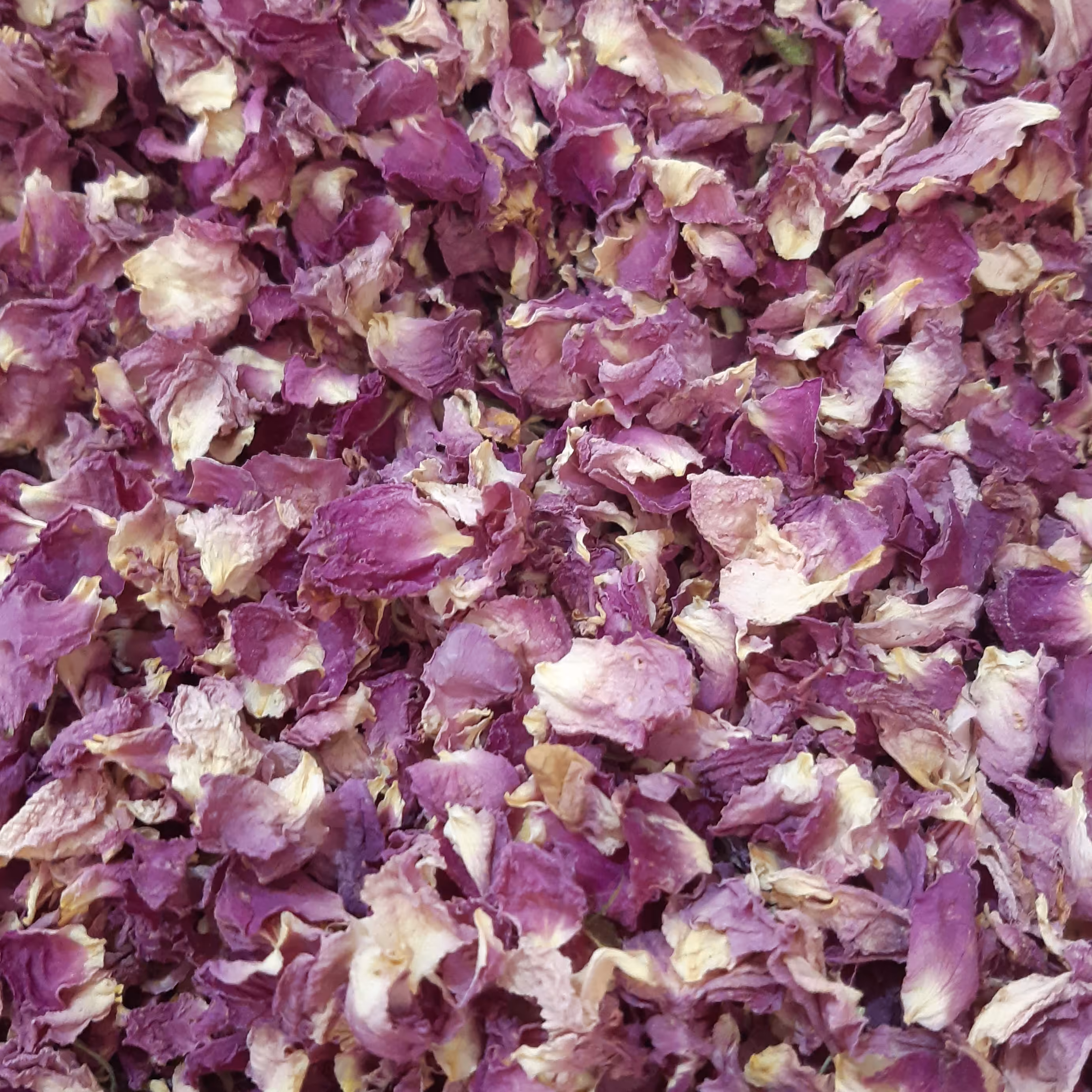 برگ گل محمدی کرمانی (500گرمی)