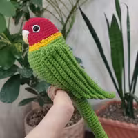 طوطی بافتنی