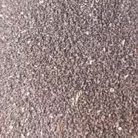 بارهنگ 5 ستاره صدرا 200 گرم خالص