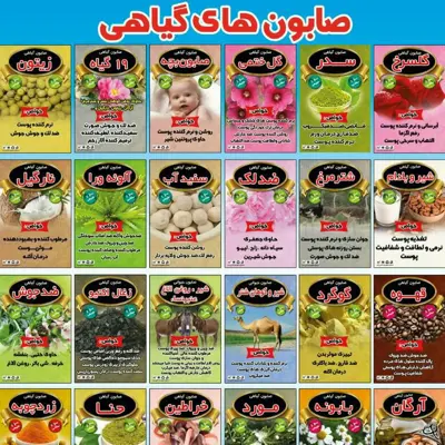 صابونهای گیاهی و درمانی و معطر محصولات طبیعی زیتون