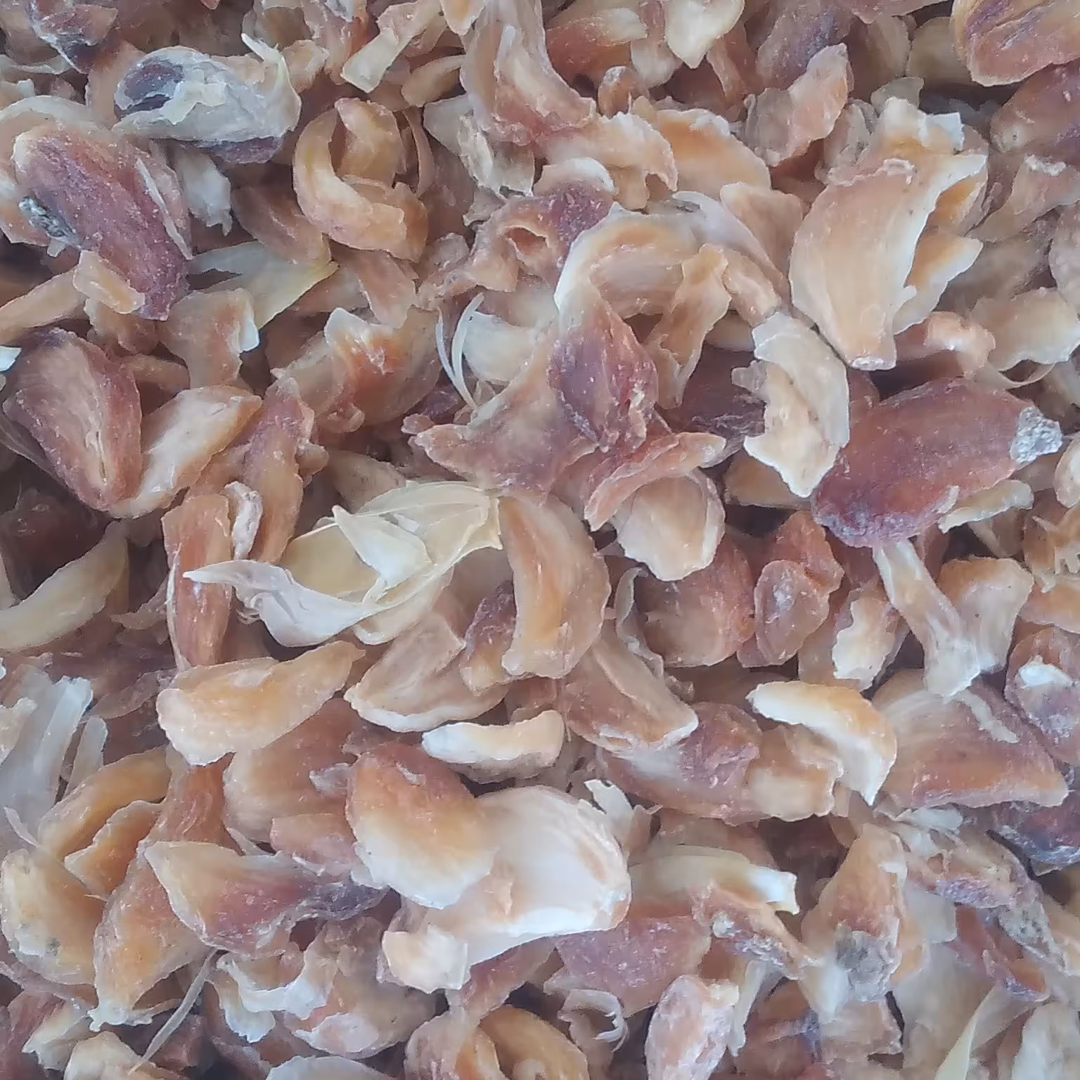 خلال سیر همدان درجه 2