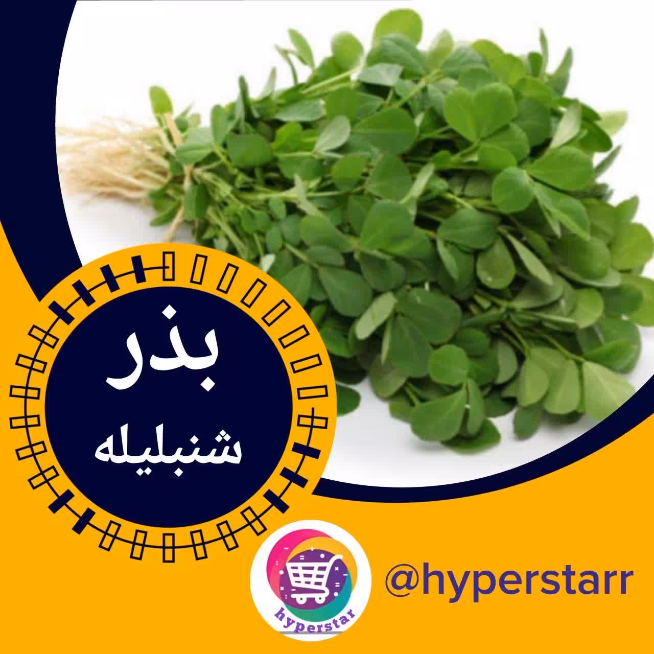 بذر شنبلیله 