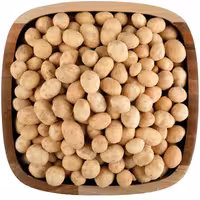 بادام زمینی روکش دار با طعم دودی 400گرمی