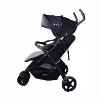 کالسکه تک دلیجان مدل مکس